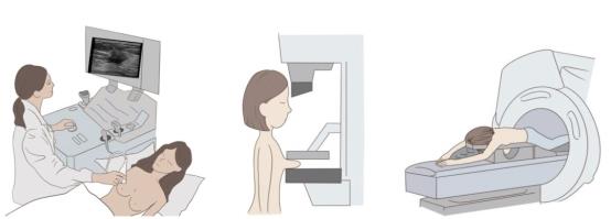 文本

低可信度描述已自動生成