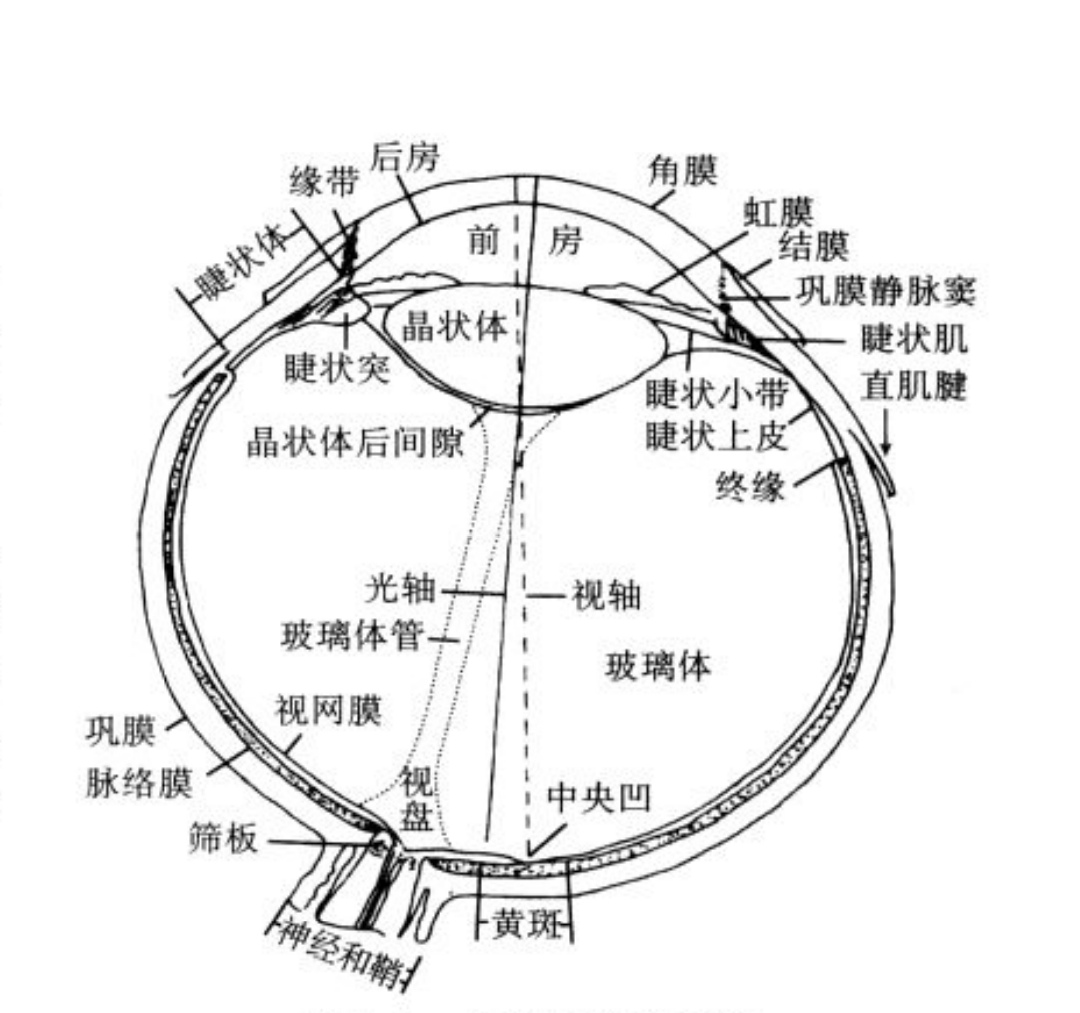 圖片1